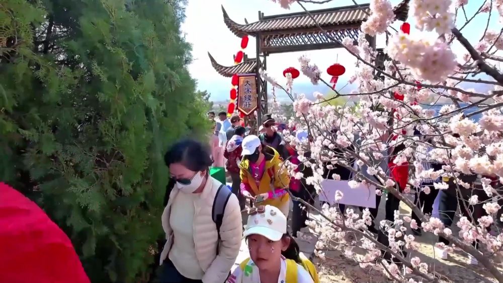 九游娱乐新华视点｜清明赏花文旅热 点燃消费新引擎(图1)