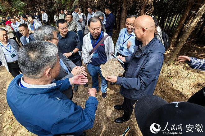 安徽南陵：走进铜矿遗址 探寻文明密码九游娱乐(图3)