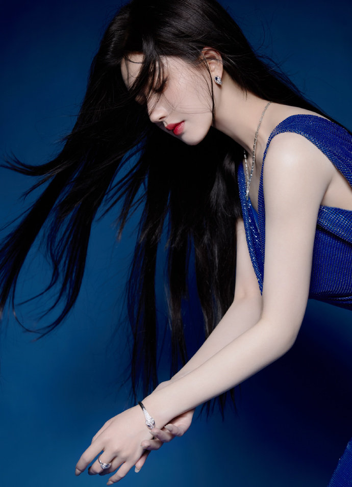 九游娱乐初犬动画 MBA智库(图1)