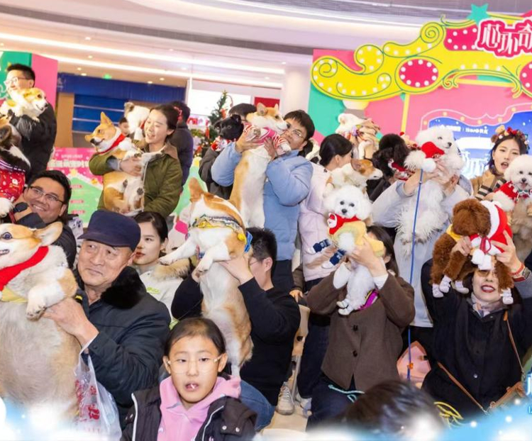 九游娱乐经济观潮|“养娃式养宠”:让“它”吃好还要健康快乐