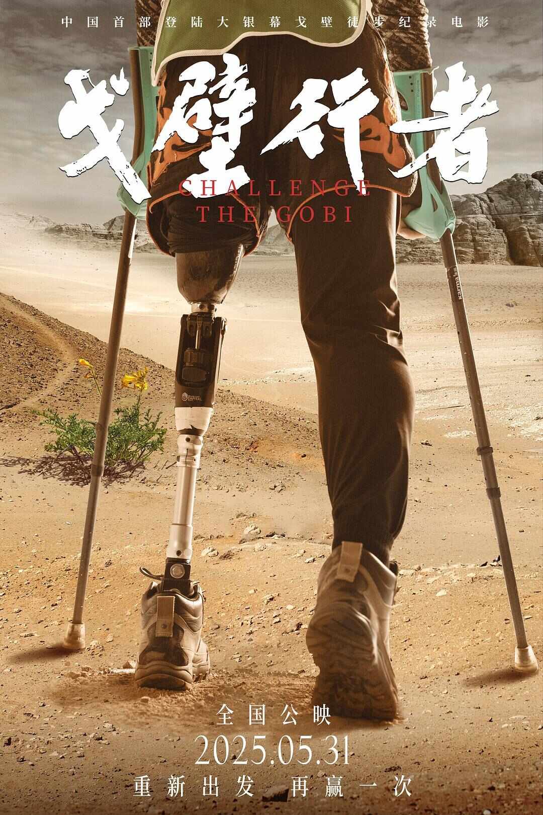电影端午档导览：汤姆·克鲁斯终战九游娱乐“碟中碟”国漫《时间之子》对打《哆啦A梦(图8)