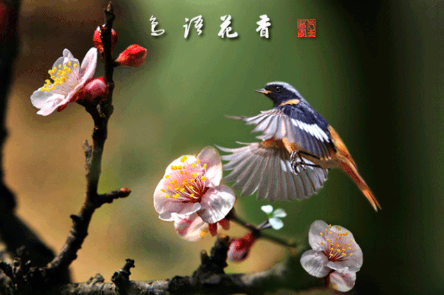 九游娱乐19岁尼姑19句话第一句就惊了！(图1)