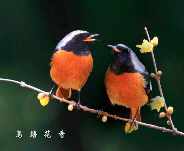 九游娱乐19岁尼姑19句话第一句就惊了！(图2)