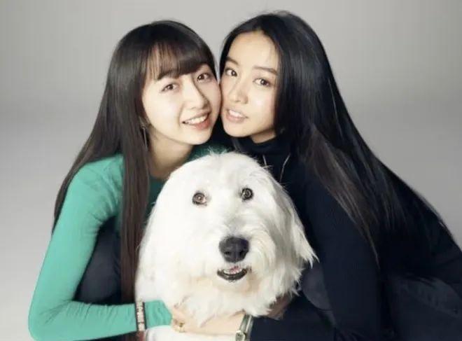 星二九游娱乐代扎堆娱乐圈拼好爹(图23)
