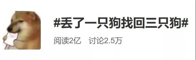 家里的狗走失后全家都非常焦急去找没想到……找回来了4只九游娱乐！(图5)