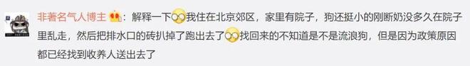 家里的狗走失后全家都非常焦急去找没想到……找回来了4只九游娱乐！(图6)