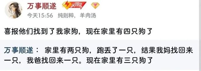 家里的狗走失后全家都非常焦急去找没想到……找回来了4只九游娱乐！(图3)