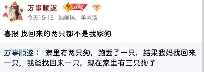 家里的狗走失后全家都非常焦急去找没想到……找回来了4只九游娱乐！(图2)