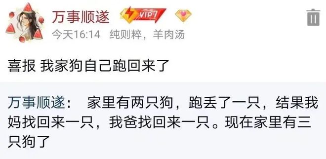 家里的狗走失后全家都非常焦急去找没想到……找回来了4只九游娱乐！(图4)