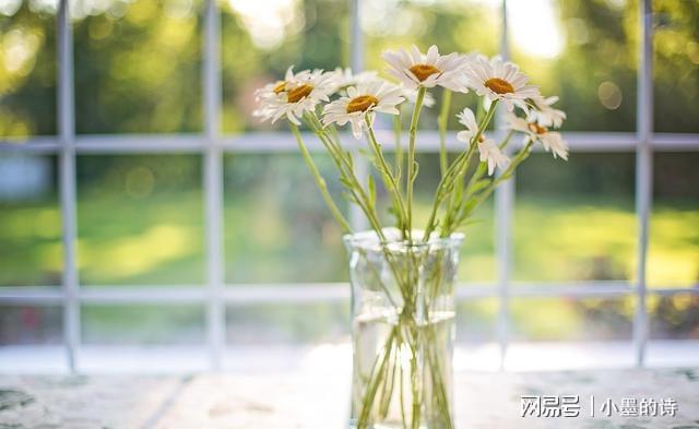 女儿养老儿九游娱乐子拿钱 偏心父母寒了谁的心(图4)