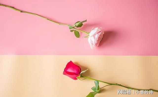 女儿养老儿九游娱乐子拿钱 偏心父母寒了谁的心(图2)