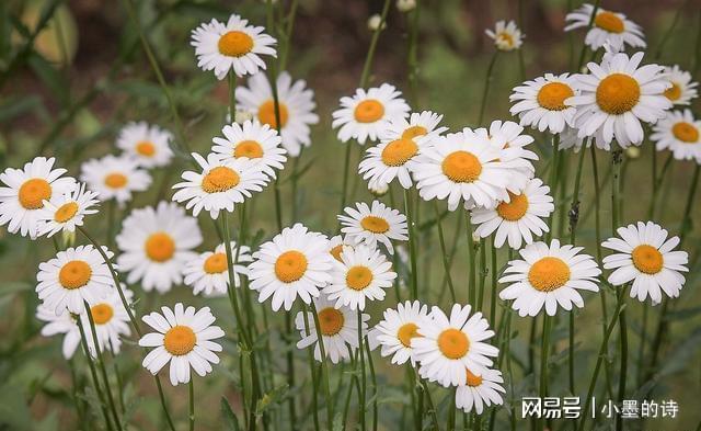 女儿养老儿九游娱乐子拿钱 偏心父母寒了谁的心(图3)