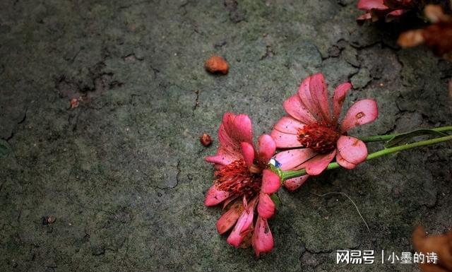 女儿养老儿九游娱乐子拿钱 偏心父母寒了谁的心(图1)