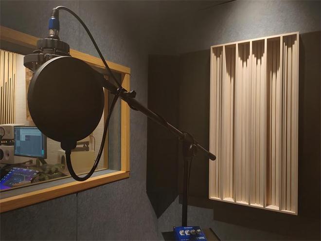 九游娱乐匠心育声：广州声与色在线科技有限公司打造专业配音师资团队(图2)