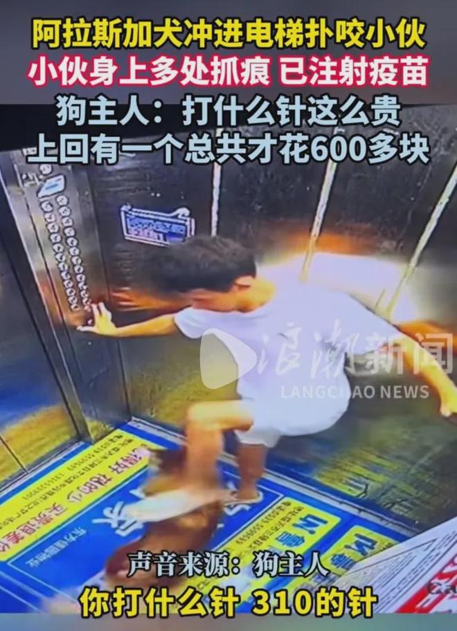 大狗电梯咬人九游娱乐狗主人嫌贵不赔钱：上次才花600这次一针就310？(图1)