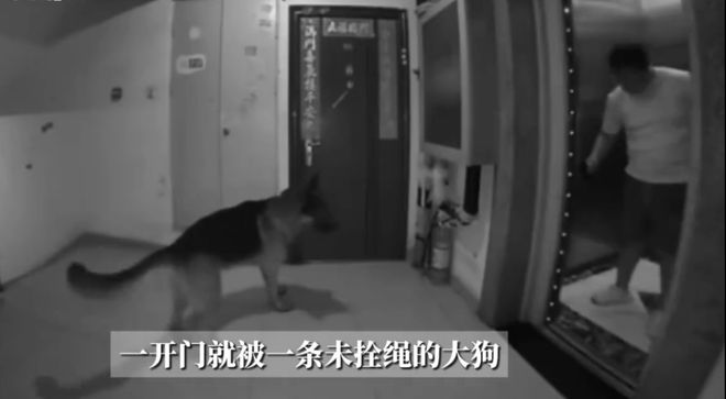 大狗电梯咬人九游娱乐狗主人嫌贵不赔钱：上次才花600这次一针就310？(图4)