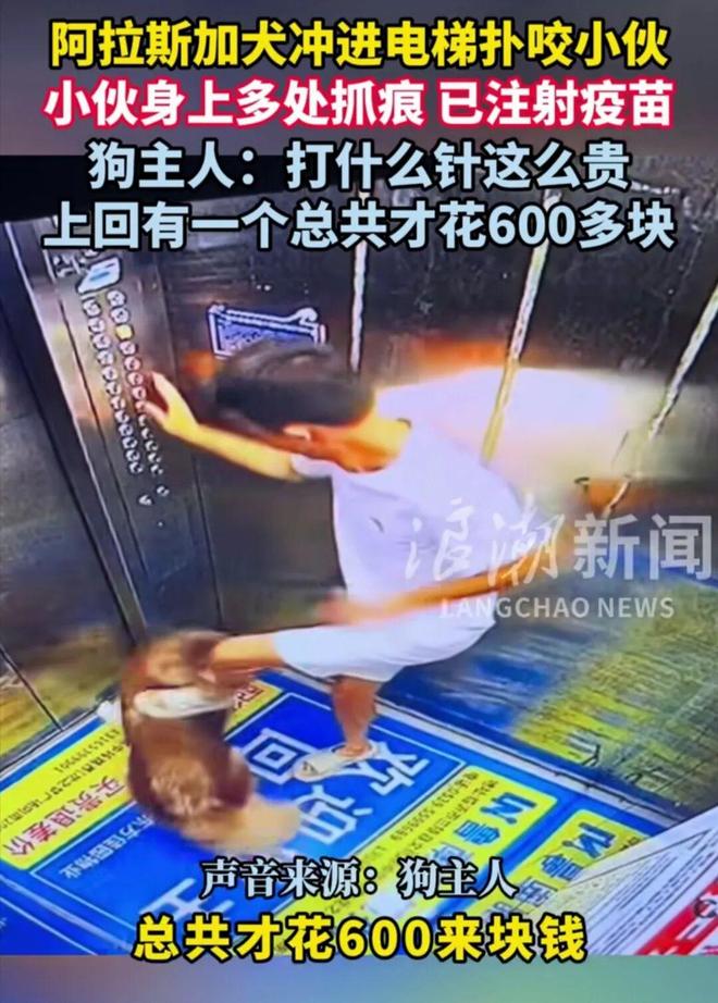 大狗电梯咬人九游娱乐狗主人嫌贵不赔钱：上次才花600这次一针就310？(图3)