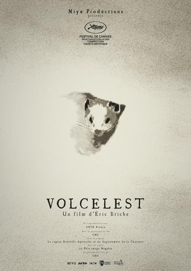 920活动预告丨第三届一起重塑影像季919-921九游娱乐(图7)