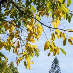 九游娱乐什么是影视动漫配音专业(图4)