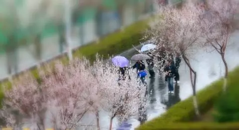 重大福利！30九游娱乐0个名额与大咖一起读诗速度来报名(图8)