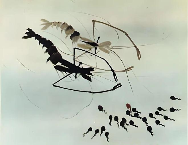 九游娱乐不卷票房的国产神作87都低了(图6)