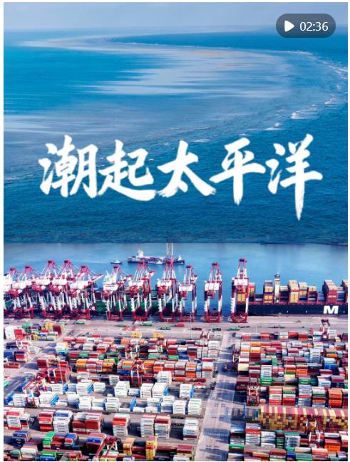 九游娱乐微视频｜潮起太平洋