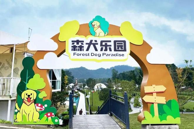九游娱乐汪汪队集合！西岭宿集森犬乐园开营啦(图1)