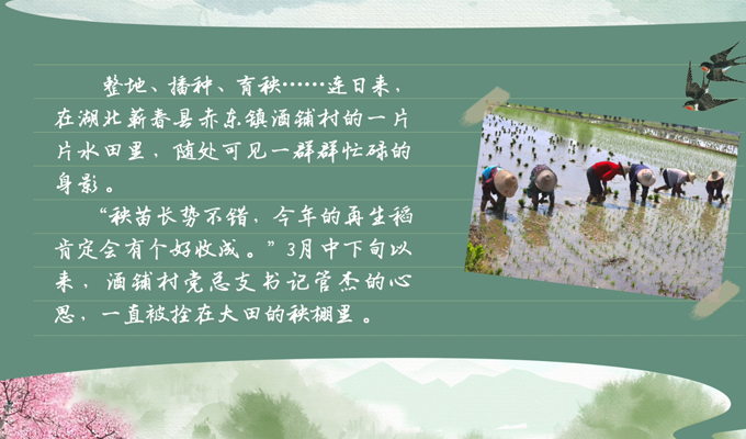 春耕时节 我们在行动_光明网九游娱乐(图1)