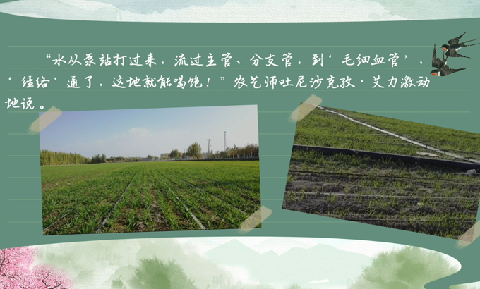 春耕时节 我们在行动_光明网九游娱乐(图7)