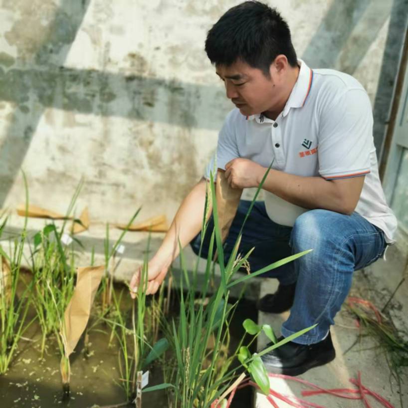 春耕时节 我们在行动_光明网九游娱乐(图23)