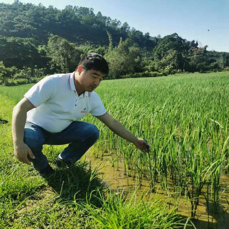 春耕时节 我们在行动_光明网九游娱乐(图21)