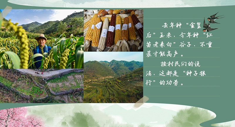 春耕时节 我们在行动_光明网九游娱乐(图36)