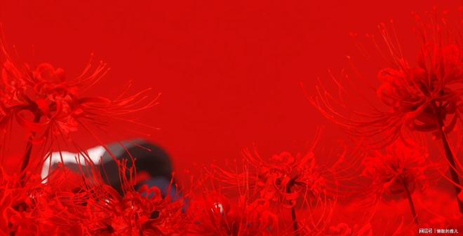 九游娱乐这3部大尺度的成人动漫看完了却让人意犹未尽！(图7)