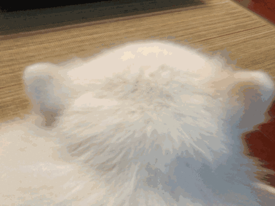 中村悠一配音的两个男主人设遭遇相同故事却有不同的感动九游娱乐(图1)